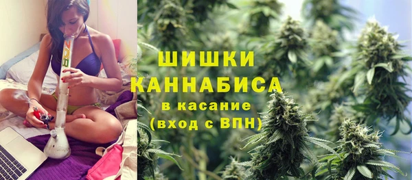 трава Алагир
