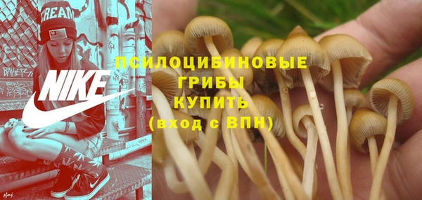 Альфа ПВП Магас
