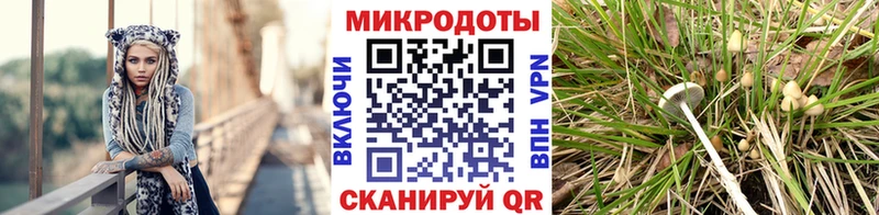 цены наркотик Котовск Псилоцибиновые грибы Cubensis
