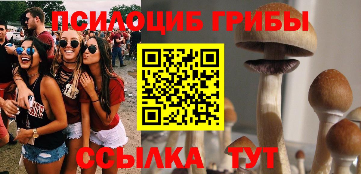 Псилоцибиновые грибы Magic Shrooms  Галлюциногенные грибы Psilocybe  Котовск  Вход с VPN 
